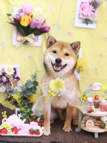 20230314むぎくん